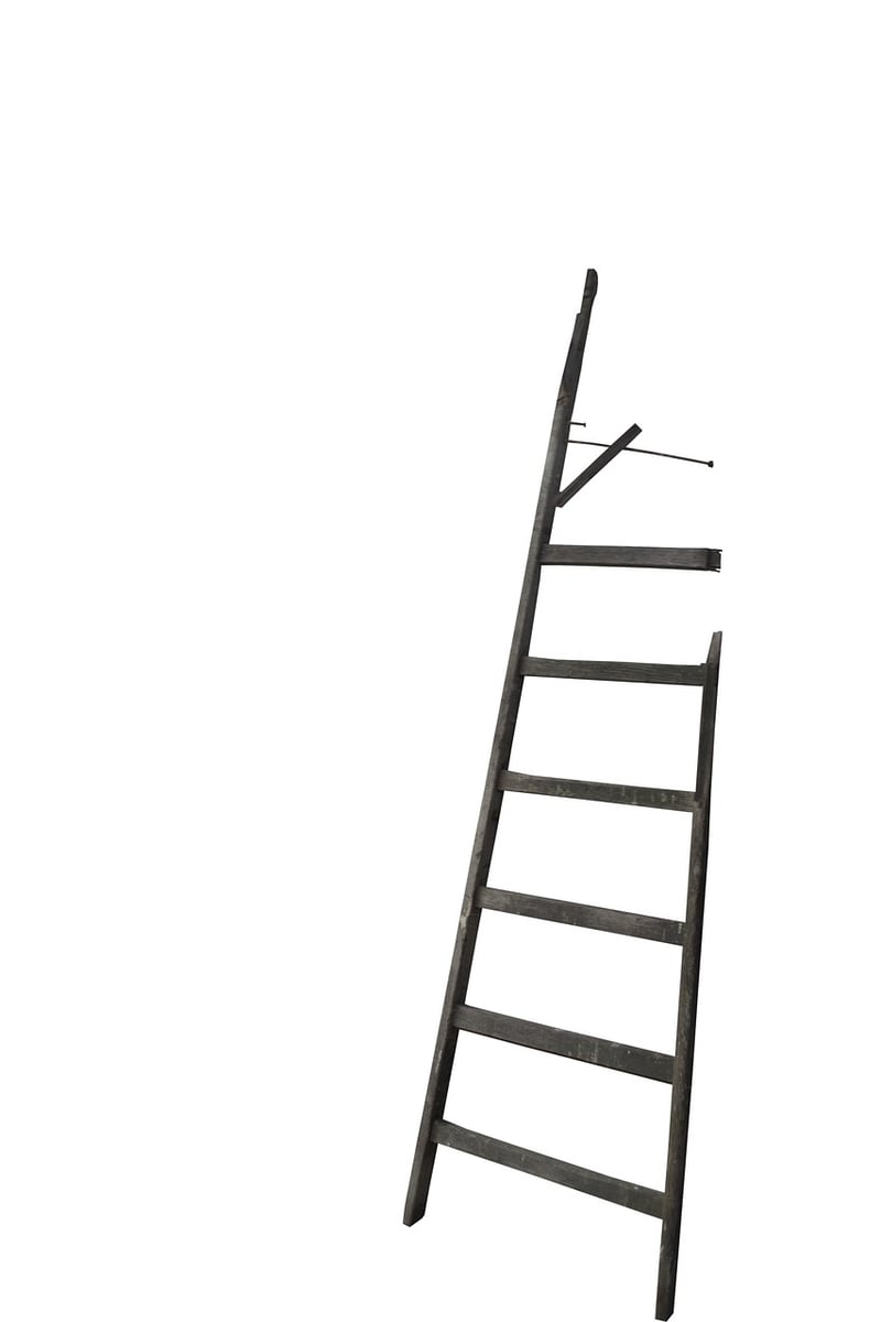 Repurposed Ladder Plant Stand