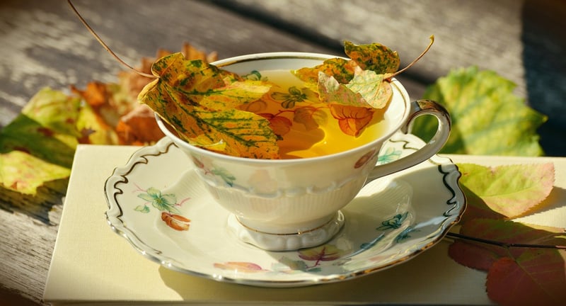 Hanging Teacup Planters